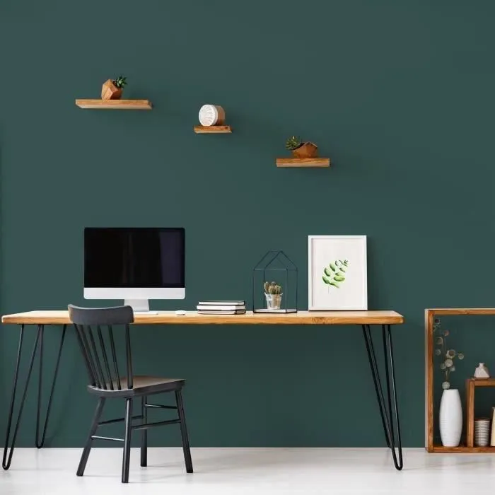 Ripolin - Peinture Couleur Velours pour Murs et Boiseries - Verte Armerie - Intérieur - Haute Opacité - Aspect Soie - Lessivable A+