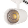 Projecteur sur rail COB monophasé 30 W CCT 3 000-6 000 K blanc