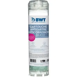 BWT Cartouche antitartre et anti-corrosion Silicophosphate - Protection pour installation d'eau - Remplacement recommandé tous les 12 mois