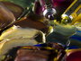 Rembrandt Set de peintures à l'huile sélection portrait, 10 x 15 ml