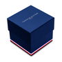 Montre Homme Tommy Hilfiger 1782506 (Ø 32 mm)