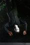 NECA Figurine Ultimate Michael Myers Halloween Resurrection 18 cm