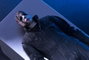 NECA Figurine Ultimate Michael Myers Halloween Resurrection 18 cm