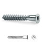UCAFIX Vis autorroscante pour bois 5 x 50 mm, tête plate, zincée