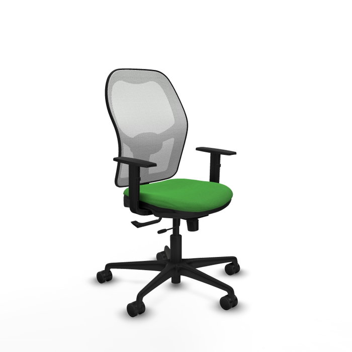 PIQUERAS Y CRESPO Chaise de bureau Jorquera Synchrone Vert PIQUERAS Y CRESPO Chaise de bureau Jorquera Synchrone Vert