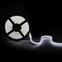 Bande de LED SMD3014 Blanc Froid 12VDC IP65 5m