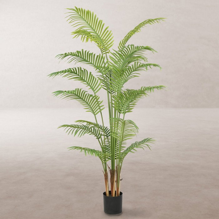BigBuy Home Plante décorative Areca 180 cm en Polyuréthane et Ciment BigBuy Home Plante décorative Areca 180 cm en Polyuréthane et Ciment