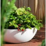 Riviera Pot de fleurs Granit Blanc D40 H15 cm