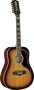 EKO Guitare Acoustique Dreadnought Ranger 12 A/E 12 cordes Honey Burst