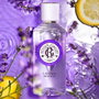 Roger & Gallet Lavande Royale Eau de Parfum 100 ml