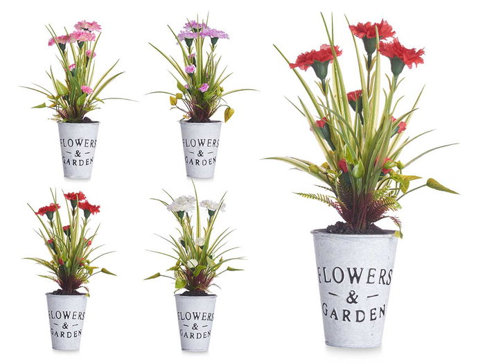 Ibergarden Plante Œillet Pot Métal Assortis 15x31x12 cm Blanc Rouge Rose Violet (Set de 12) Ibergarden Plante Œillet Pot Métal Assortis 15x31x12 cm Blanc Rouge Rose Violet (Set de 12)