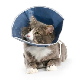 Kruuse Collier Mou pour Chats et Petits Chiens (Lot de 10)
