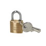 WOLFPACK LINEA PROFESIONAL Chaîne en laiton anse normale 20 mm