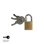 WOLFPACK LINEA PROFESIONAL Chaîne en laiton anse normale 20 mm