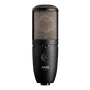 AKG P420 Microphone Condensateur + Plugin Lexicon PCM Native Reverb - Diaphragme 1", Filtre Coupe-Bas