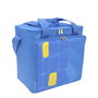 PAPILLON Sac isotherme bleu 15L