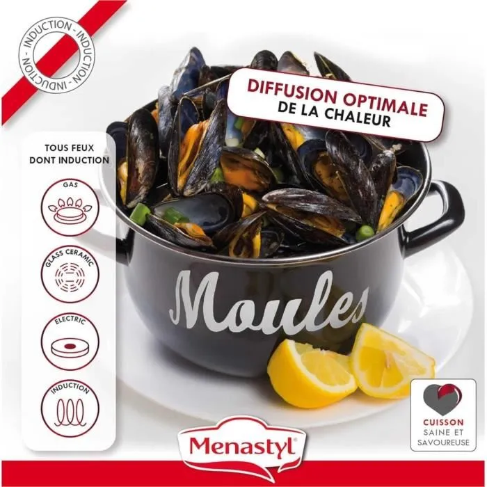 Marmite à moule Menastyl 3645563 - En acier émaillé noir 18 cm, pour tous feux dont induction, avec couvercle réversible
