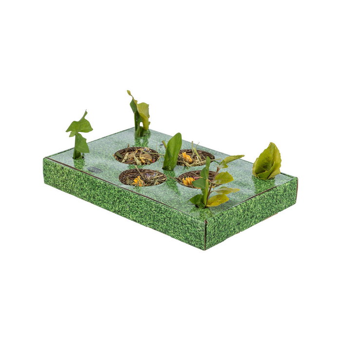 Plateau apéritif Trixie Vert Carton 28 x 3,8 x 18 cm Plateau apéritif Trixie Vert Carton 28 x 3,8 x 18 cm