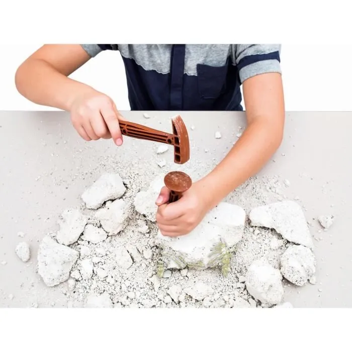 Clementoni - Science & Jeu Archéo Ludic T-Rex - Coffret d'Excavation et de Construction de Squelette de Dinosaure pour Enfants à Partir de 7 Ans Clementoni - Science & Jeu Archéo Ludic T-Rex - Coffret d'Excavation et de Construction de Squelette de Dinosaure pour Enfants à Partir de 7 Ans