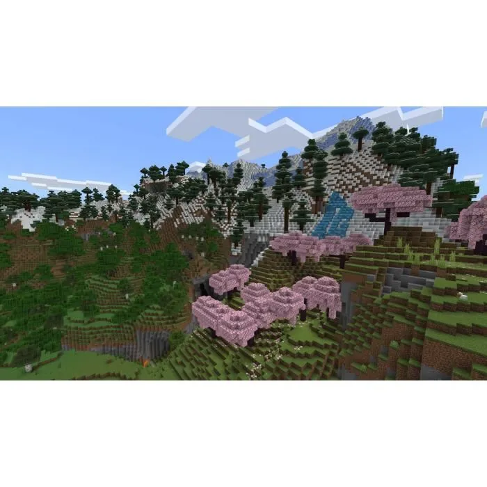 Minecraft (Jeu physique) - Version Française - PlayStation 5 (PS5)
