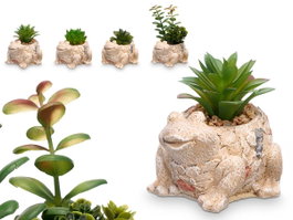IBERGARDEN MACETA RANA SURT 4, lot de 12, Verde