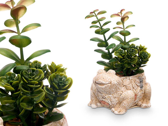 Ibergarden Maceta Rana Surtido 11x14x10 cm Plastique Vert (Set de 12)