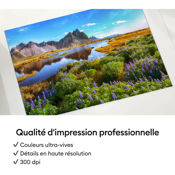 Cricut StickerPix Print Pack Essentiels avec 54 feuilles et cartouche d'encre Cricut StickerPix Print Pack Essentiels avec 54 feuilles et cartouche d'encre