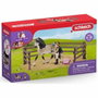 Schleich Coffret kit de soin pour chevaux andalous Horse Club