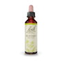 Bach Original Fleurs de Bach Mustard 20 ml