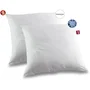 Abeil Lot de 2 Oreillers Moelleux ICEBERG 60 x 60 cm - Effet Rafraîchissant - Garnissage Polyester - Traité FERAN ICE - Fabriqué en France