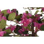 Home ESPRIT Plante décorative Polyéthylène Vert, Fuchsia, Naturel