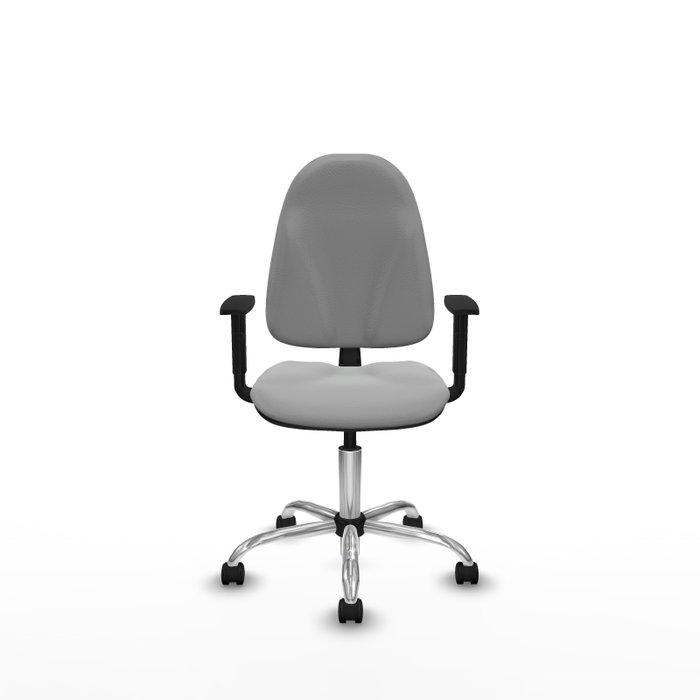 PIQUERAS Y CRESPO Chaise de bureau Algarra, Similicuir Gris clair, Accoudoirs 1D PIQUERAS Y CRESPO Chaise de bureau Algarra, Similicuir Gris clair, Accoudoirs 1D