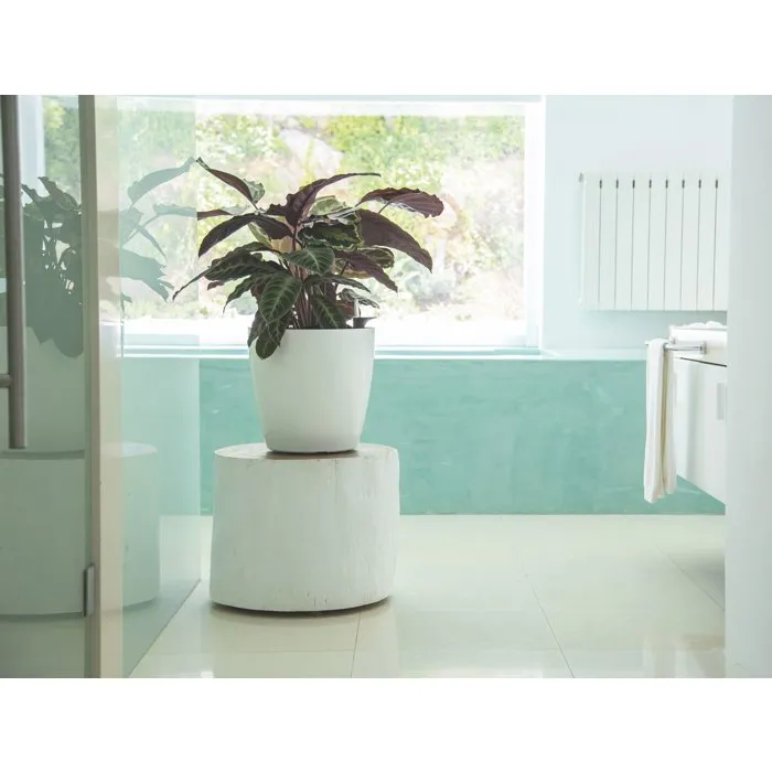 Artevasi San Remo SWS 36 BR - Pot de fleurs avec pieds - Pour intérieur et extérieur - Plastique résistant aux UV - Ø36 x H33,5 cm - 25 L - Rouge foncé