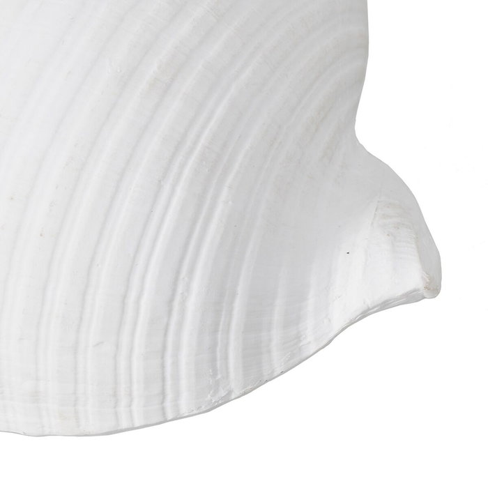 BigBuy Home Figurine Décorative Blanc Conque 15 x 11 x 9 cm BigBuy Home Figurine Décorative Blanc Conque 15 x 11 x 9 cm