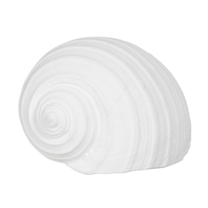 BigBuy Home Figurine Décorative Blanc Conque 15 x 11 x 9 cm BigBuy Home Figurine Décorative Blanc Conque 15 x 11 x 9 cm