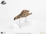 Elite Creature Collectibles Jurassic Park 3 Réplique Prop 1/1 Velociraptor Resonance Chamber