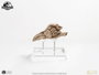 Elite Creature Collectibles Jurassic Park 3 Réplique Prop 1/1 Velociraptor Resonance Chamber