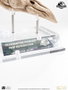 Elite Creature Collectibles Jurassic Park 3 Réplique Prop 1/1 Velociraptor Resonance Chamber