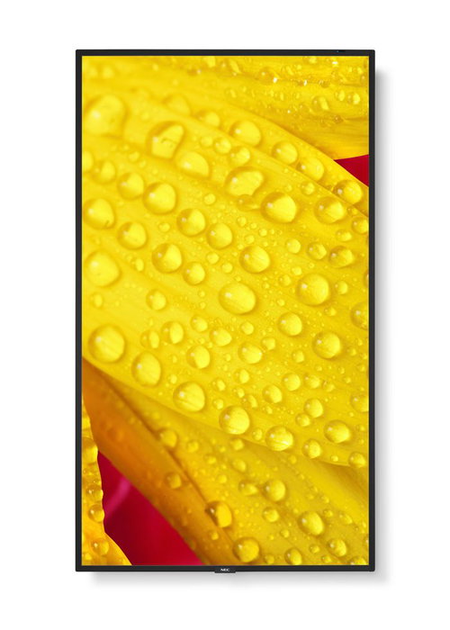 Sharp M651-2 écran professionnel 65" M-Series UHD 500cd/m2 rétroéclairage D-LED 24/7 SDM Slot CM-Slot Sharp M651-2 écran professionnel 65" M-Series UHD 500cd/m2 rétroéclairage D-LED 24/7 SDM Slot CM-Slot