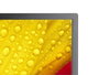 Sharp M651-2 écran professionnel 65" M-Series UHD 500cd/m2 rétroéclairage D-LED 24/7 SDM Slot CM-Slot