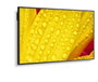 Sharp M651-2 écran professionnel 65" M-Series UHD 500cd/m2 rétroéclairage D-LED 24/7 SDM Slot CM-Slot
