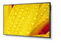 Sharp M651-2 écran professionnel 65" M-Series UHD 500cd/m2 rétroéclairage D-LED 24/7 SDM Slot CM-Slot
