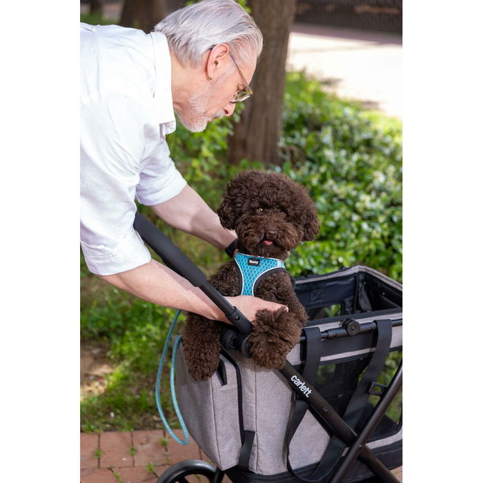 Panier à Courses Carlett CUBE P RUBY Rouge