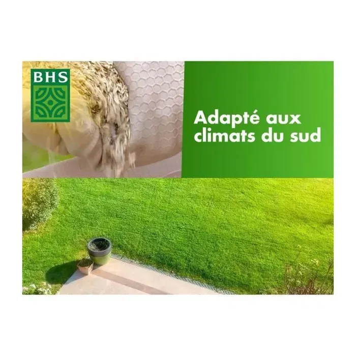 BHS Semence de gazon rustique - 10 kg - Pour jardin traditionnel, implantation rapide et homogène, enrichie en engrais