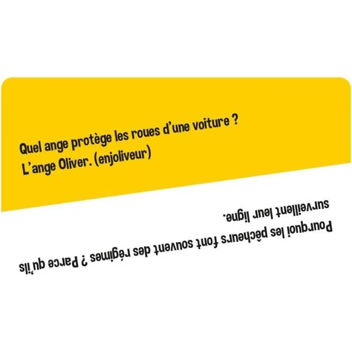 Dujardin Tu Ris tu Perds - Réédition - Jeu de société - Affrontez-vous dans un duel de blagues pourries sans rire !