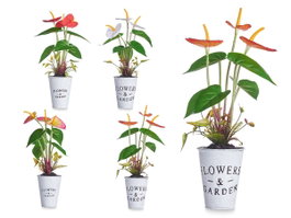Ibergarden Plante Lys en Pot Métal Assortis 15x34x12 cm (Set de 12)