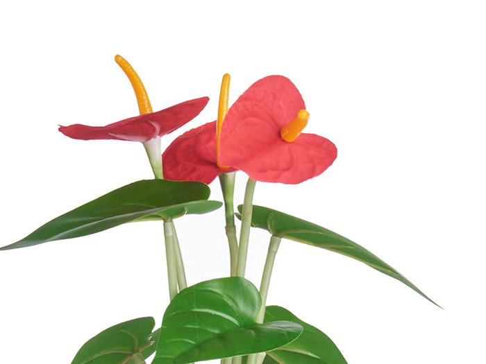 Ibergarden Plante Lys en Pot Métal Assortis 15x34x12 cm (Set de 12)