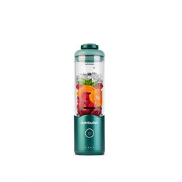 Bol mixeur Nutribullet NBP013GR Vert