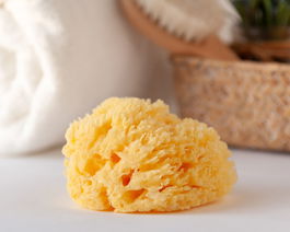 KioKids - Eponge Naturelle pour Bébé Néo-Natal - Taille Nouveau-Né - Absorbante et Douce