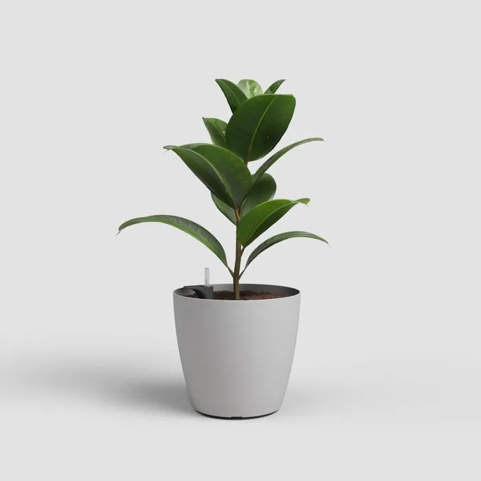 ARTEVASI San Remo SWS 30 MA - Pot de fleurs avec pieds pour intérieur/extérieur - Plastique résistant UV - Gris clair - Ø30,5 x H27 cm - 14,5 L